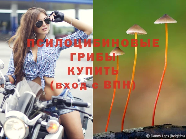винт Аркадак