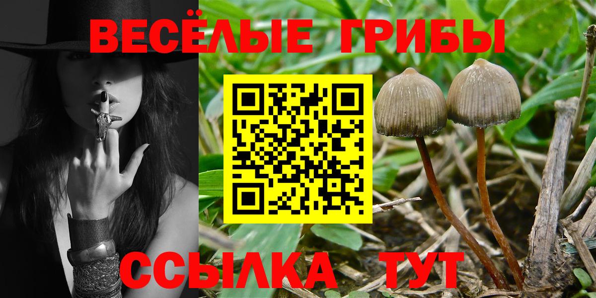 Реутов  Галлюциногенные грибы GOLDEN TEACHER  Вход с VPN 