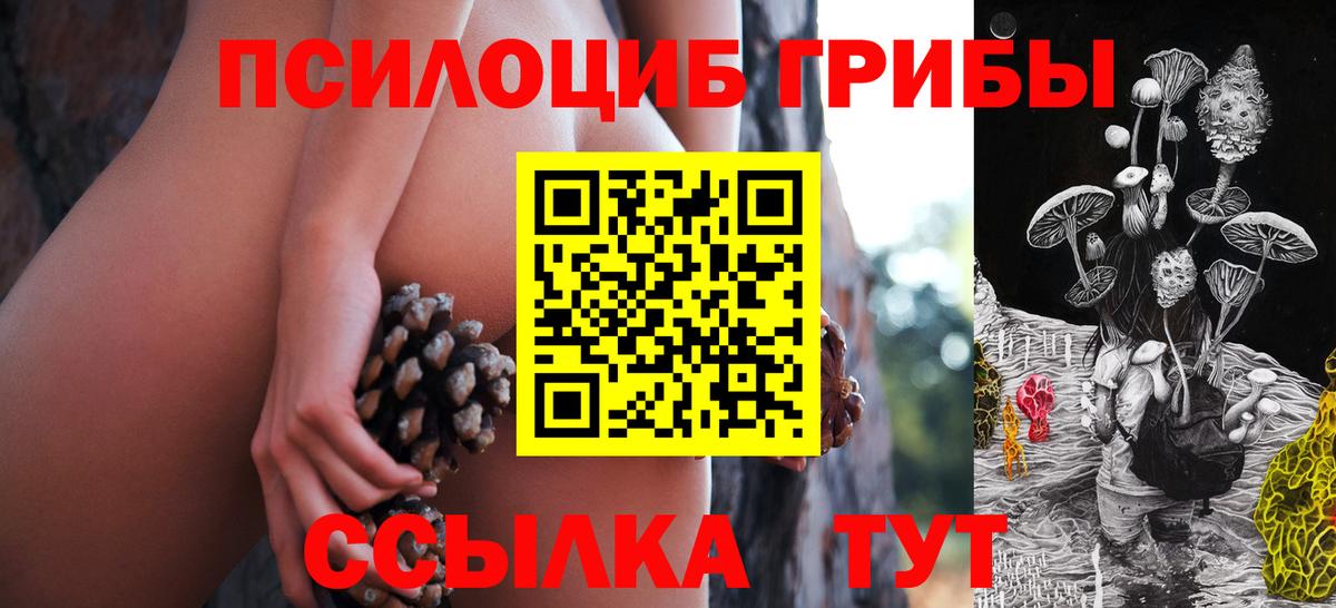 Псилоцибиновые грибы ЛСД Реутов