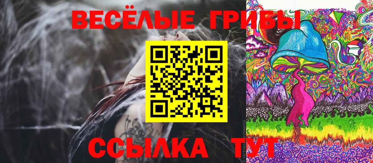 Реутов  Галлюциногенные грибы GOLDEN TEACHER  Вход с VPN 
