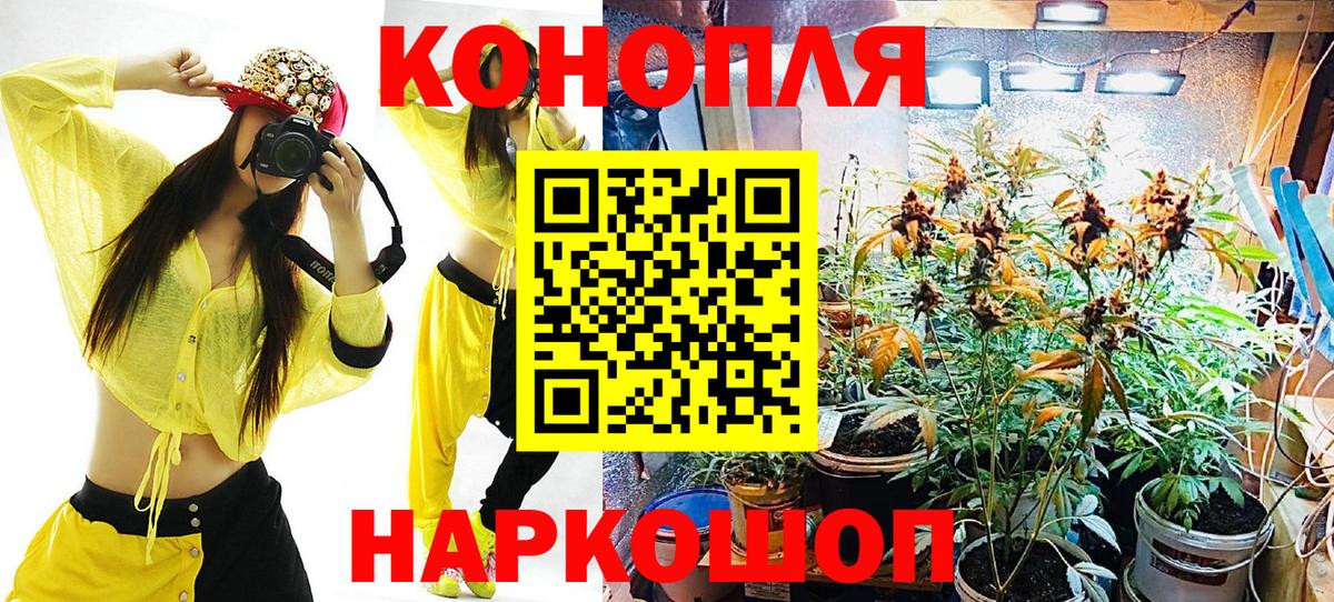 Каннабис сатива  Вход с VPN  Марихуана сатива  Канабис LSD WEED  Реутов 